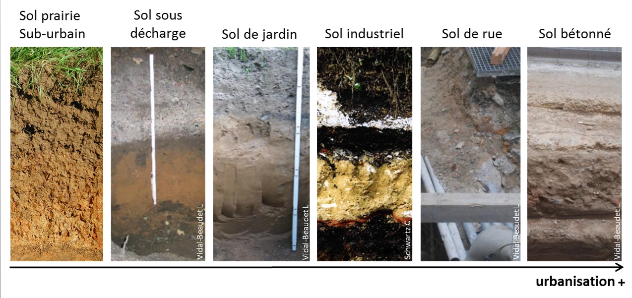 Les différents types de sol