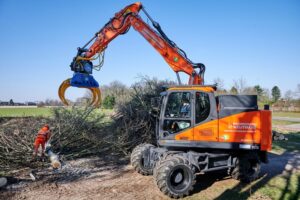 Boomrooierij Weijtmans : L'abattage et le démontage d'arbres