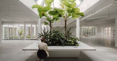 Makers of Sustainable Spaces, oftewel MOSS, is een groen architectuurbedrijf en specialist in gebouw-gebonden groen.