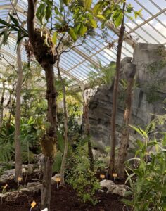 Deux nouvelles serres au Jardin botanique de Meise