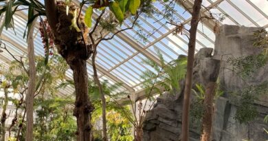 Deux nouvelles serres au Jardin botanique de Meise