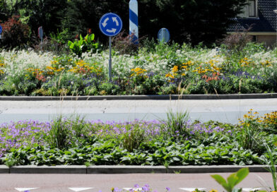 Avec les plantes vivaces, les espaces publics se végétalisent