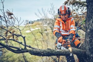 Primeur mondiale : Husqvarna lance la première tronçonneuse à batterie avec embrayage.