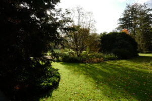 Arboretum de Wespelaar : dans cet environnement boisé, l’intensité de l’ombre varie.