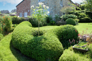 Médaille d'Or pour l'entreprise Jardin en perspective : Un projet à la croisée des âmes