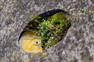 C’est donc sans surprise que des mots tels que "durable", "écologique" et "résistant au changement climatique" reviennent constamment dans les projets. Ces termes sont l’expression d’un sens des responsabilités et d’une volonté évidente : contribuer à un monde équilibré.