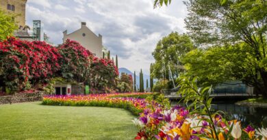 A la découverte des jardins du château de Trauttmansdorff