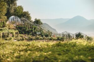 A la découverte des jardins du château de Trauttmansdorff